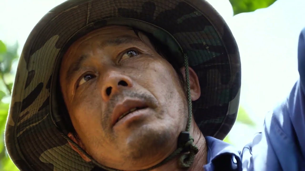 Landscape approaches in Vietnam's Central Highlands