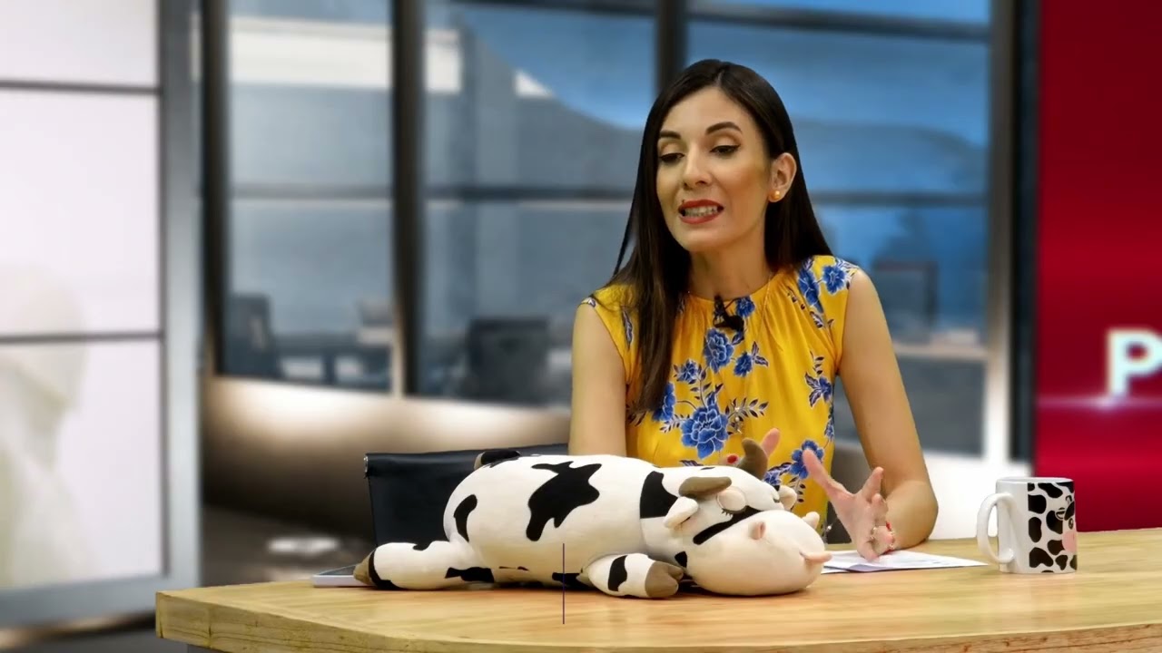 Producción porcina crece con fuerza