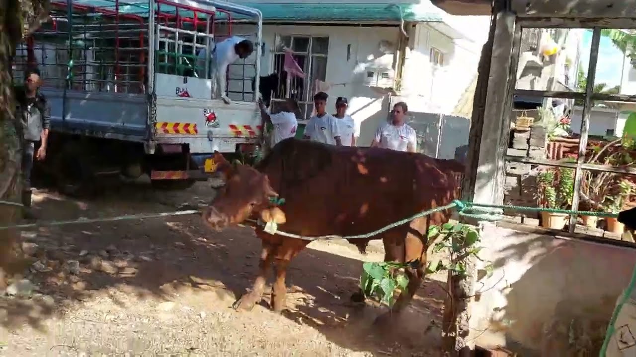 Bakrid 2022 Bull Rangers Team