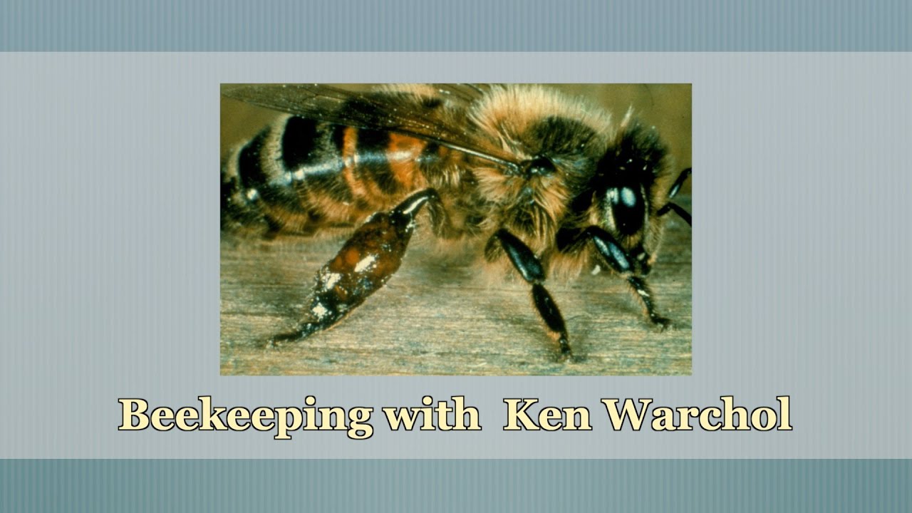 Beekeeping  -  Thursday, October 30th:   6:30 - 7:30 pm