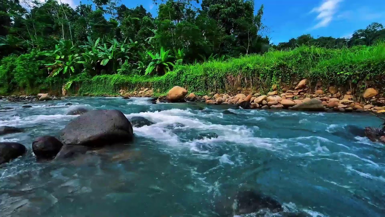 Blue-Sky Jungle River – Gentle Water Sounds for Deep Sleep Tonight (No Music, No Talking)