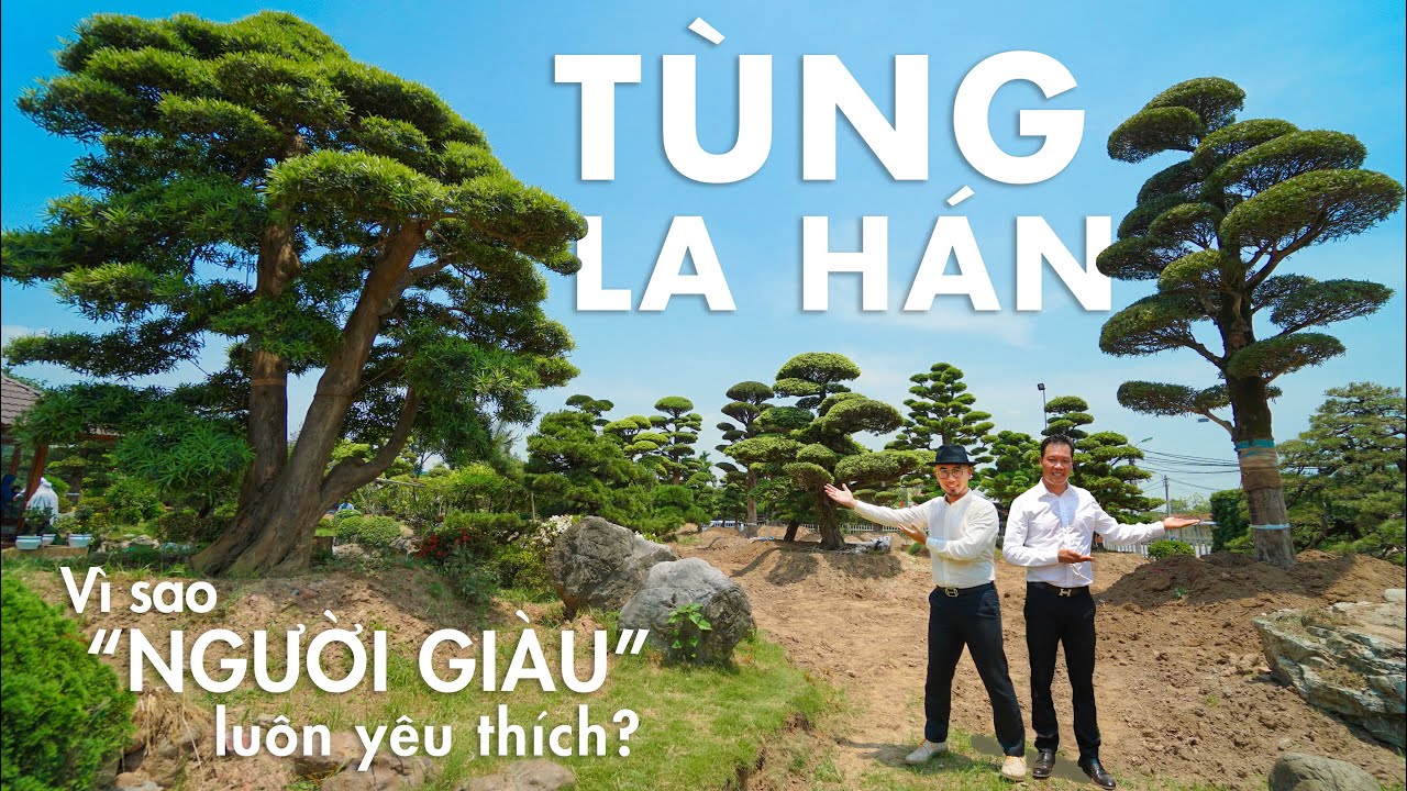 Thú chơi TÙNG LA HÁN Tiền Tỷ của bậc CHÍNH NHÂN QUÂN TỬ có thực sự Thú Vị !!? | NHATO Review