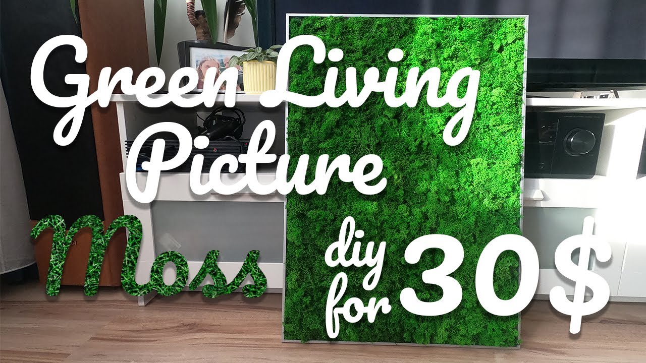 Green Living Picture - Moss - DIY for 30$ (best for home, gift, present)