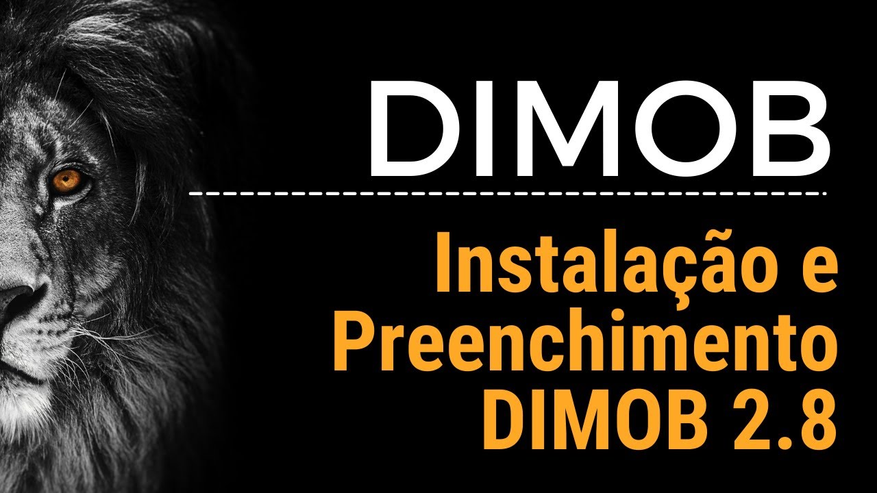 PASSO A PASSO DIMOB - DOWNLOAD INSTALAÇÃO E PREENCHIMENTO  DEFINITIVO DIMOB 2.8