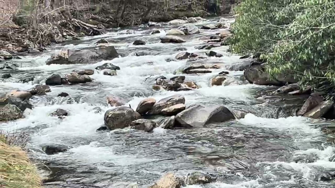4K Great Smoky National Park Reopening w/ Snow, Ice, peaceful & beautiful falls, streams & Wildlife