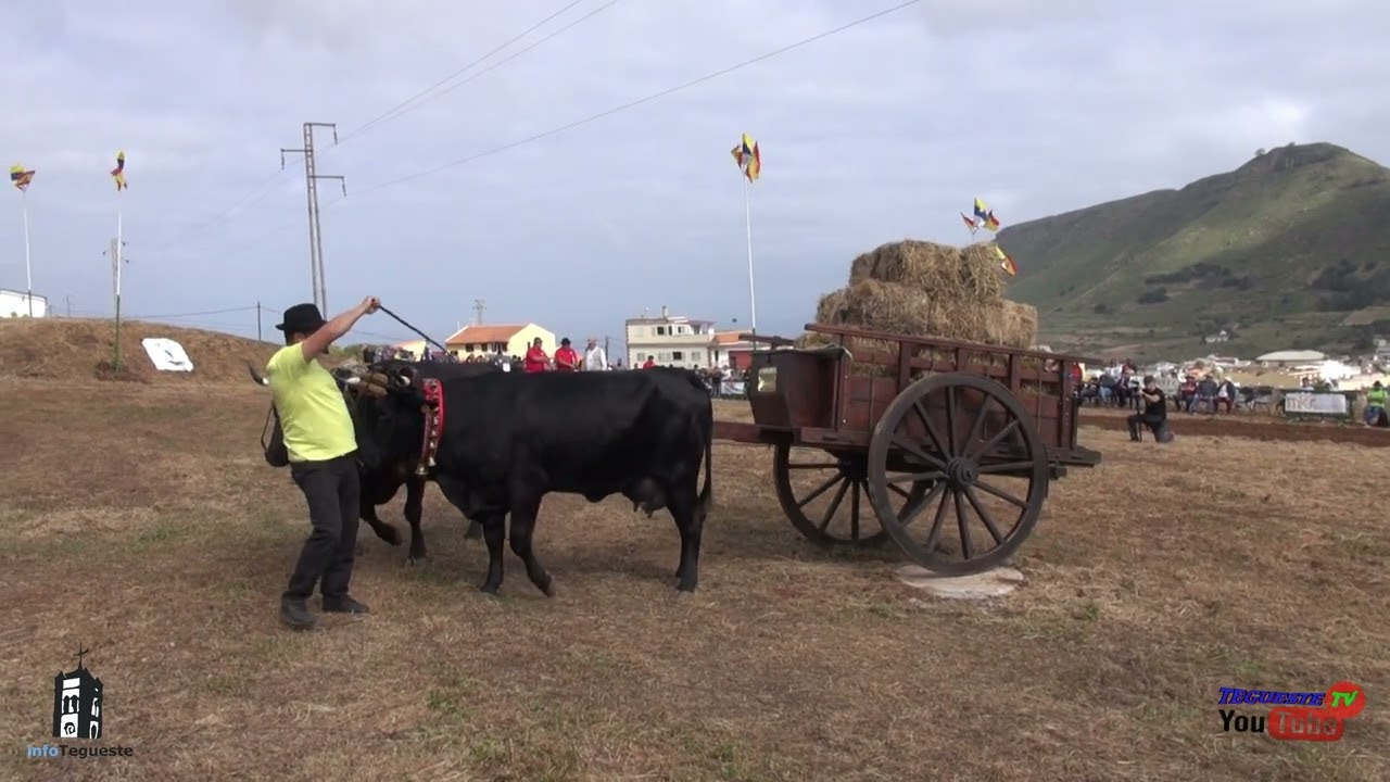 MANEJO DE YUNTAS 2º