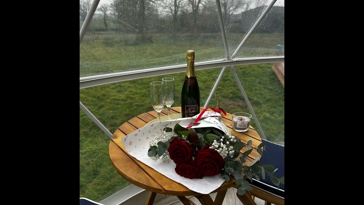 berry dome#relax#insolite#glamping#dome#bulle #travel