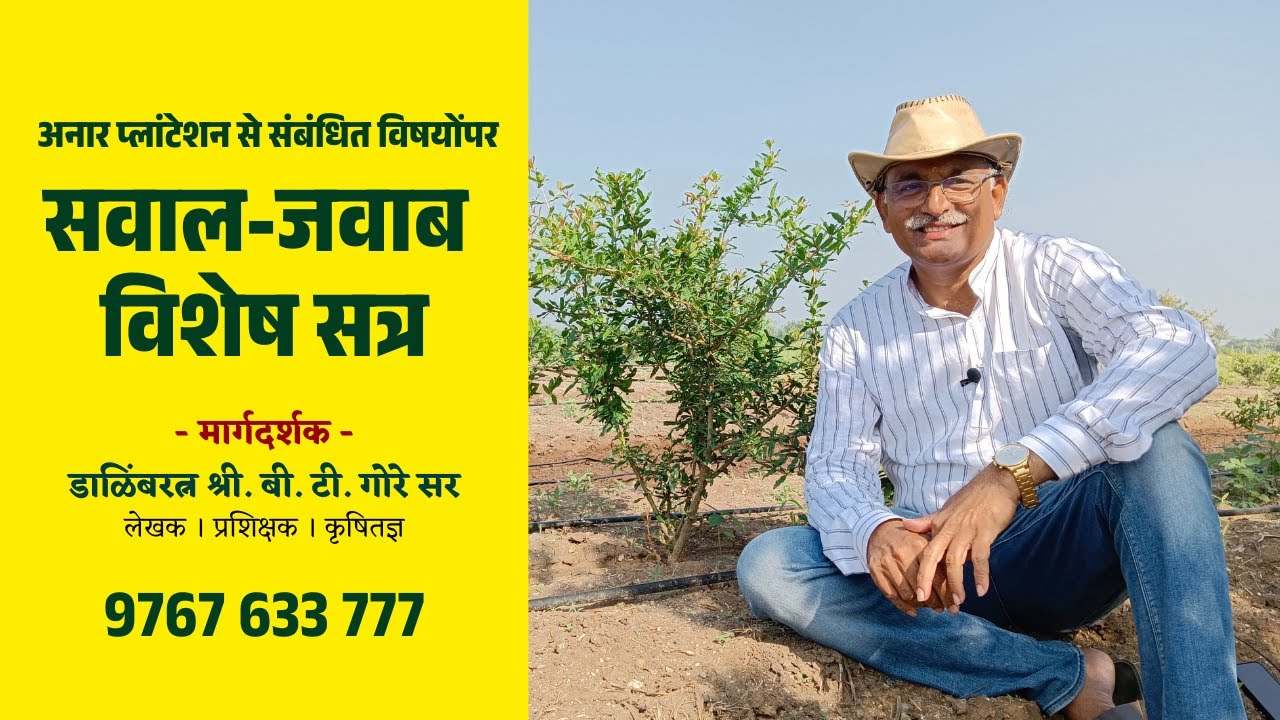 अनार प्लांटेशन मास्टरी - सवाल - जवाब । Pomegranate Plantation Mastery - Question - Answer @BTGore