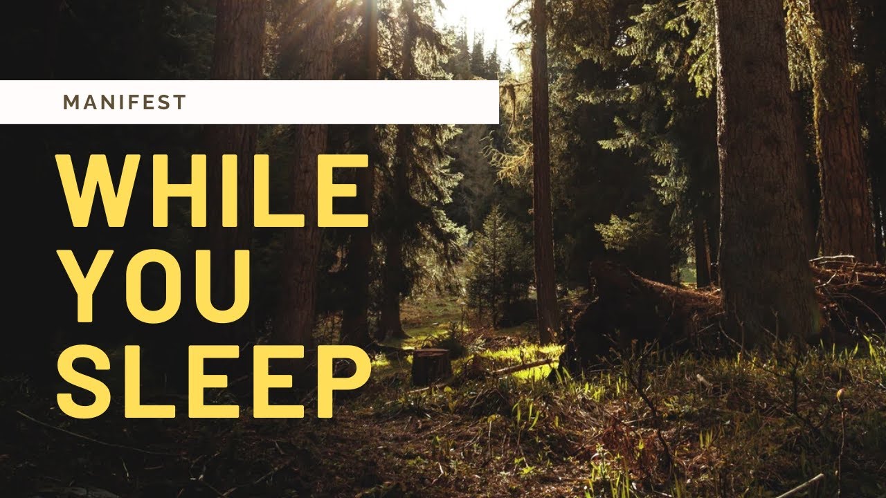 This Guided Visualization Reprograms Your Subconscious While You Sleep (Manifest Anything)