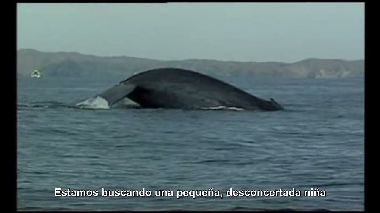 A-ha - We're Looking For The Whales (Subtitulado)