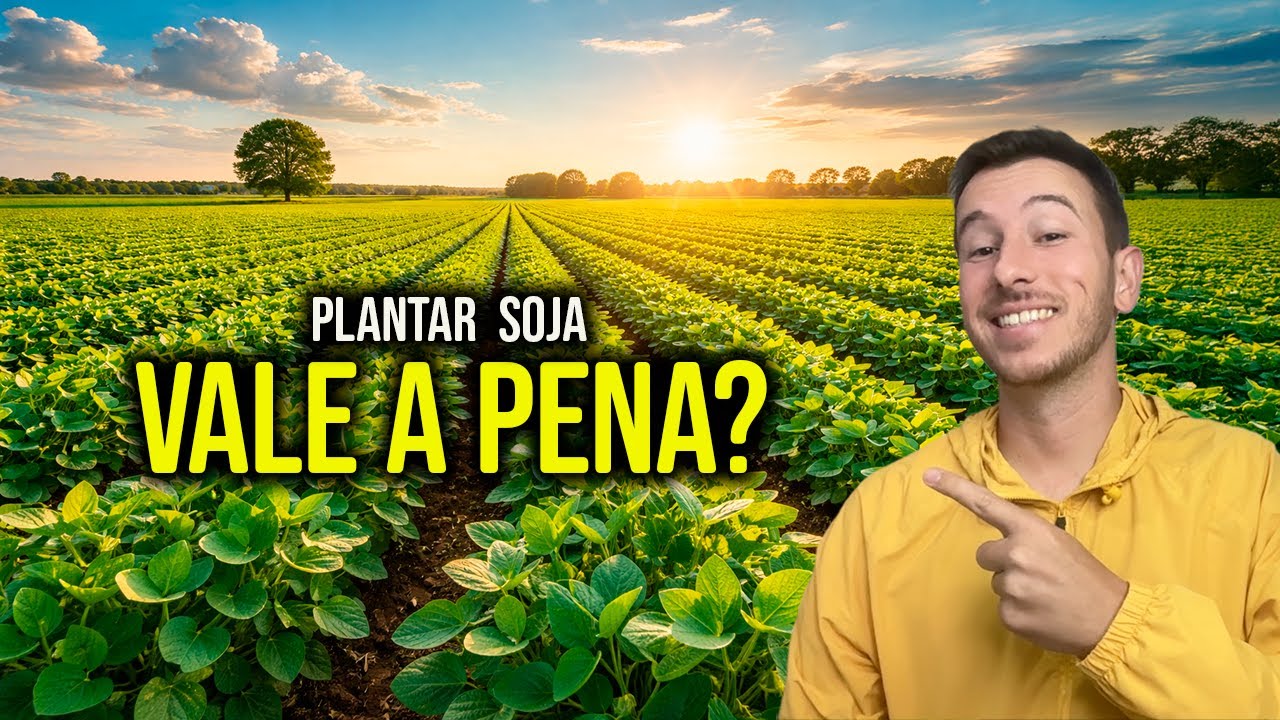 Soja é um Bom Investimento? Fiz os cálculos de 1 Hectare | MATEMÁTICA APLICADA