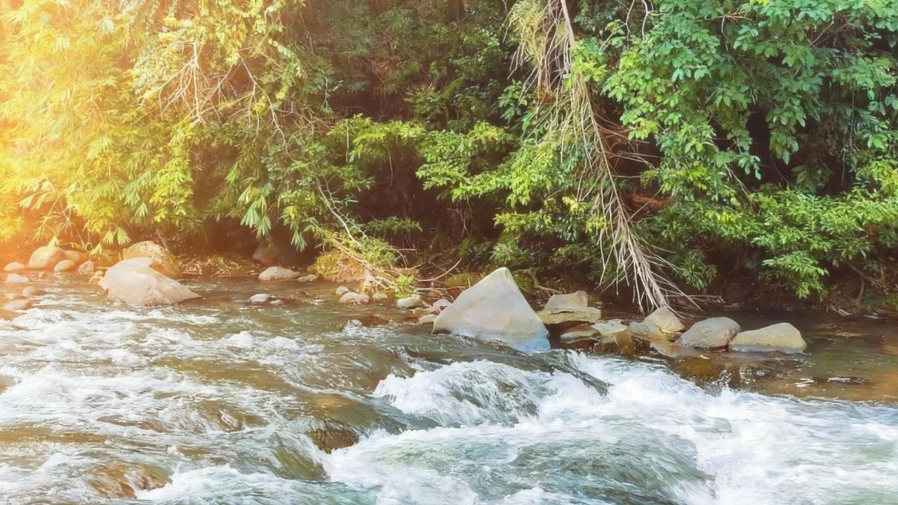Soothing Natural River Sounds 🍃 Forest White Noise for Relaxation