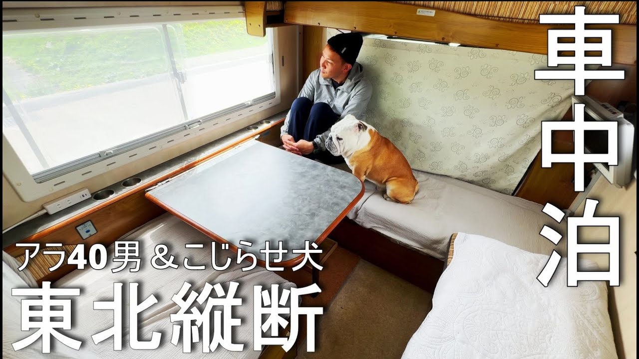 嫁と別居状態なので、唯一あるキャンピングカーに愛犬乗せて青森県弘前の桜を観に行く回。