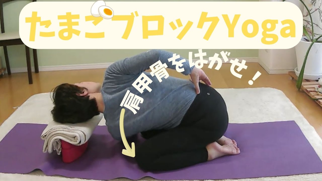 TAMAGO YOGA② ガチガチ肩甲骨をはがせ！