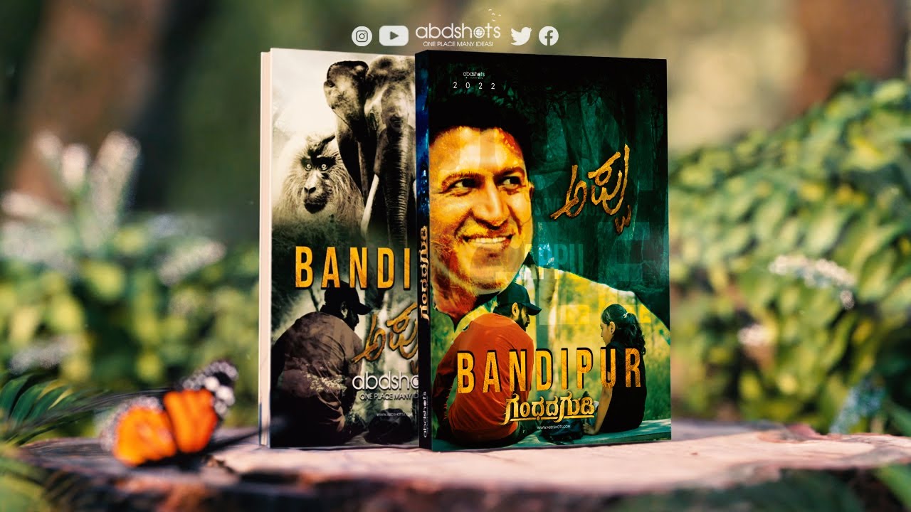 Bandipur | Ivory Homestay #bandipur  | abdshots | #wildlifedocumentary