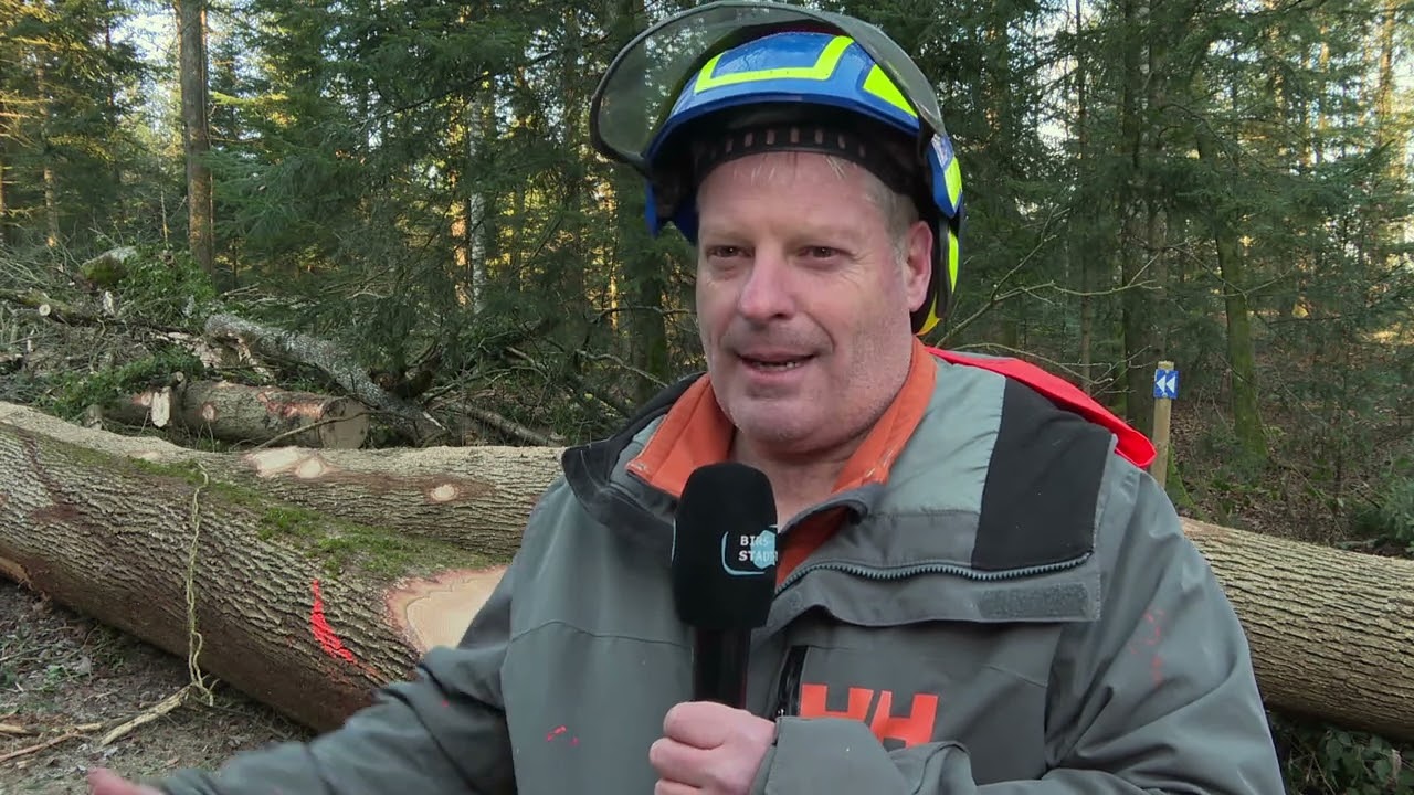 Holzschlag im Forstrevier Angenstein - Birsstadt-TV Duggingen