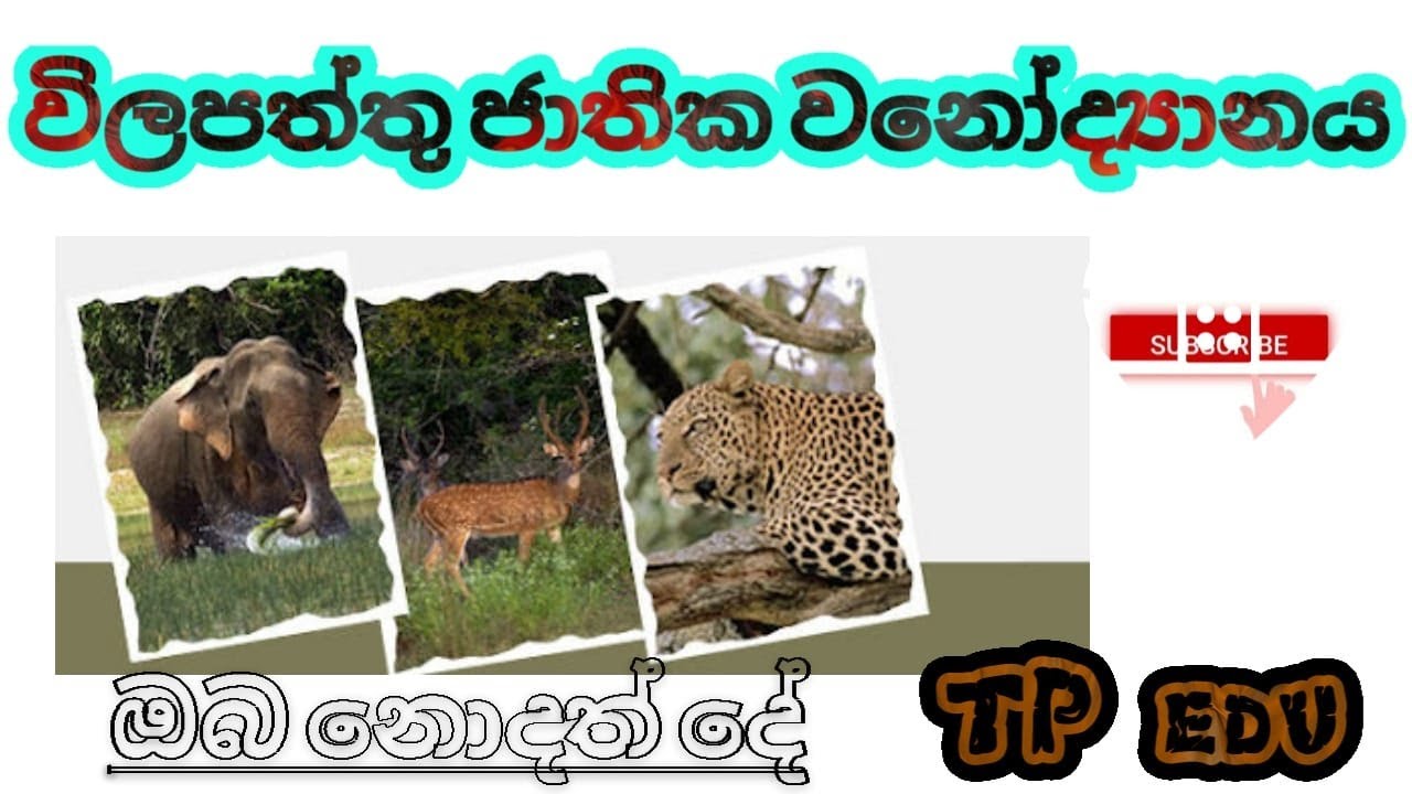විල්පත්තු ජාතික වනෝද්‍යානය / Wilpattu National Park