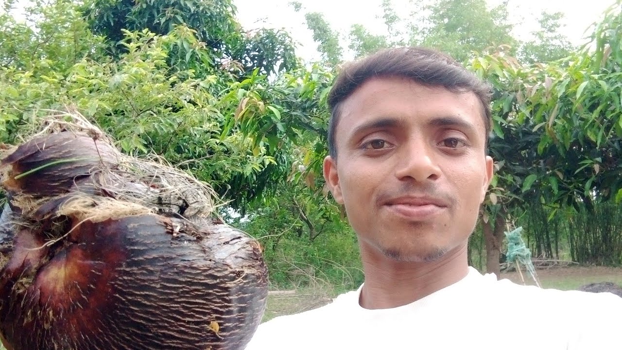 msti video