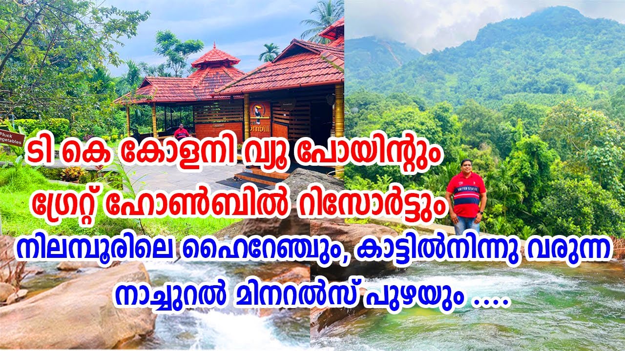 TK Colony | Great Hornbill Resort | t k colony view point | nilambur tourist spots | nilambur vlogs