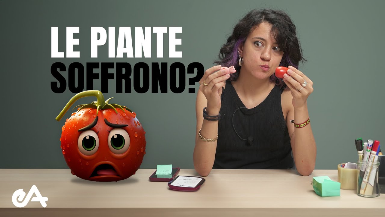 Se anche le piante soffrono, che senso ha non mangiare carne?