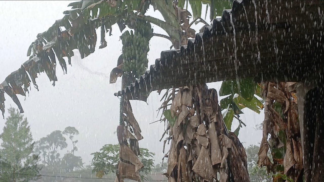Звуки сильного дождя 🌧️ | Экстремальный дождь для глубокого сна, снятия стресса и восстановления