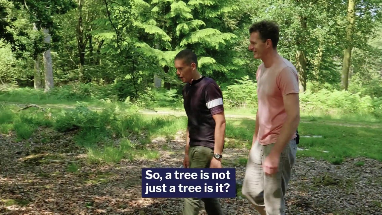 The Weight Of A Tree - With Dan Snow