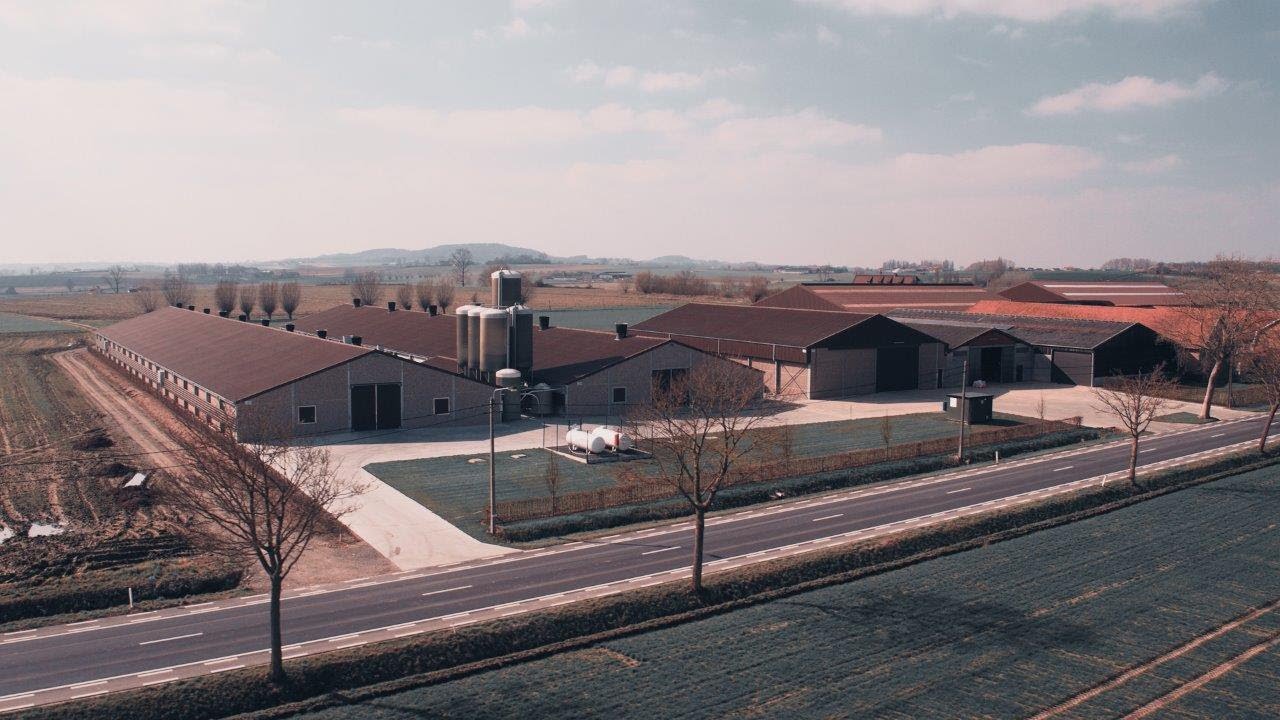 La construction de bâtiments agricoles.  Building together.