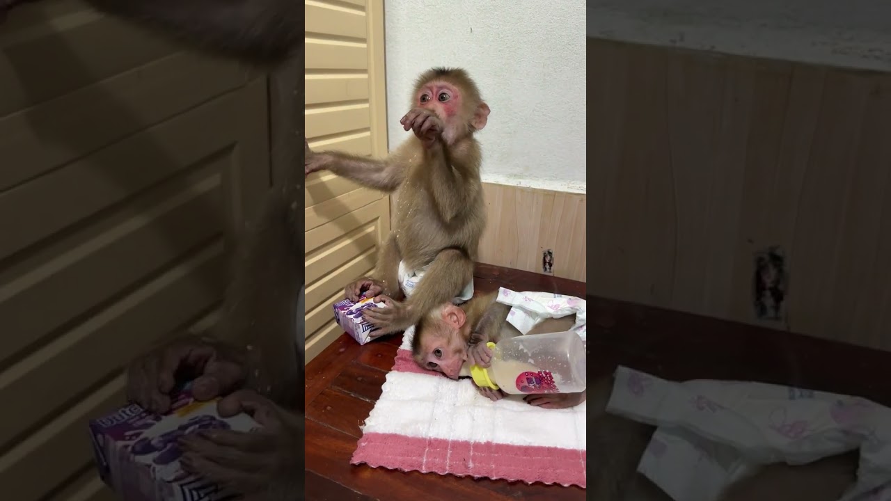 Ух ты, большой мальчик, много ешь!