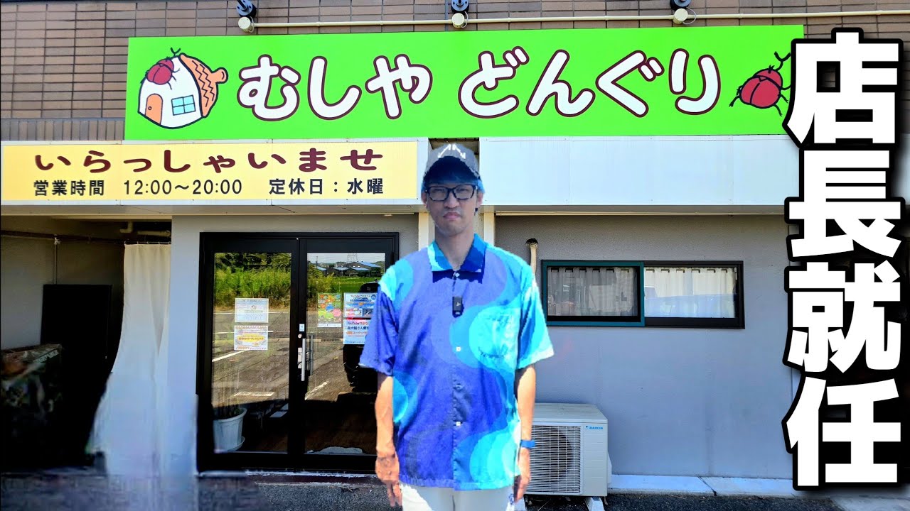 今年オープンした昆虫ショップの店長になりました