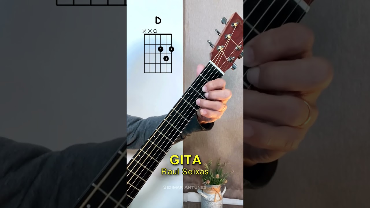 Como Tocar No Viol&atilde;o -  GITA - RAUL SEIXAS
