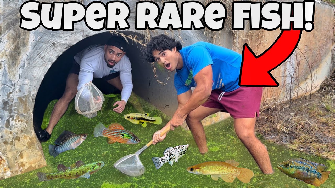 Netting SUPER RARE Fish in Hidden Tunnel!!
