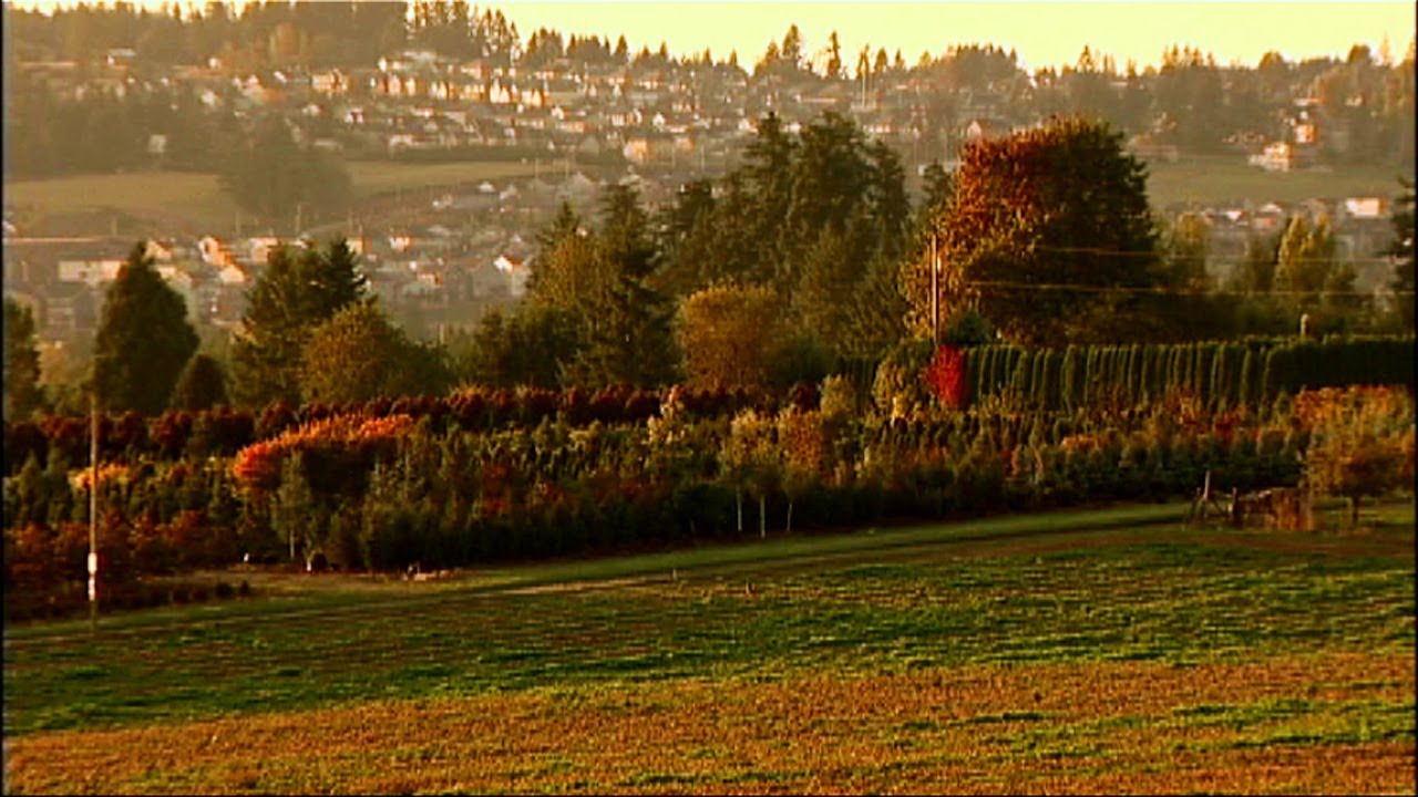 Urban Growth Boundary: Oregon Agriculture and Managed Growth