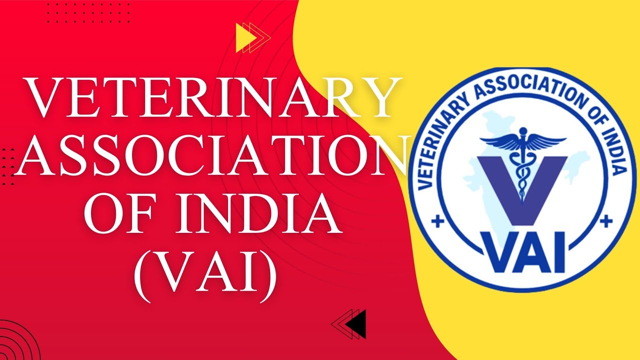 India’s Growing Veterinary Network — Understanding the Veterinary Association of India (VAI)