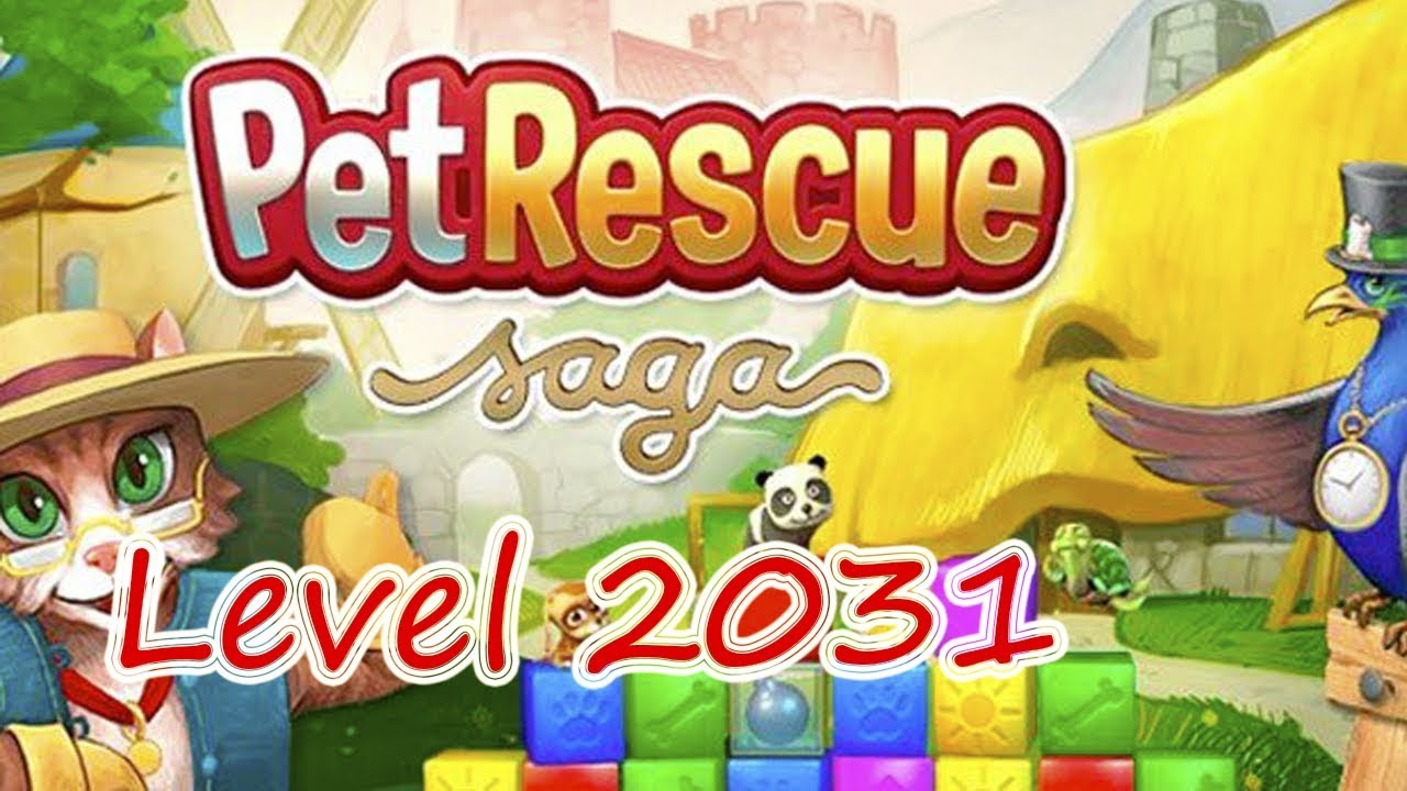 Pet Rescue Saga Level 2031 (NO BOOSTERS)