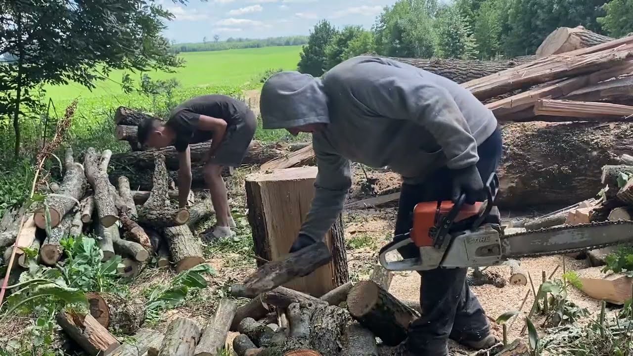 🔥🔥 Firewood saw  STIHL MS 361 vs STIHL MS 462 C-M extreme cutting wood 🪵