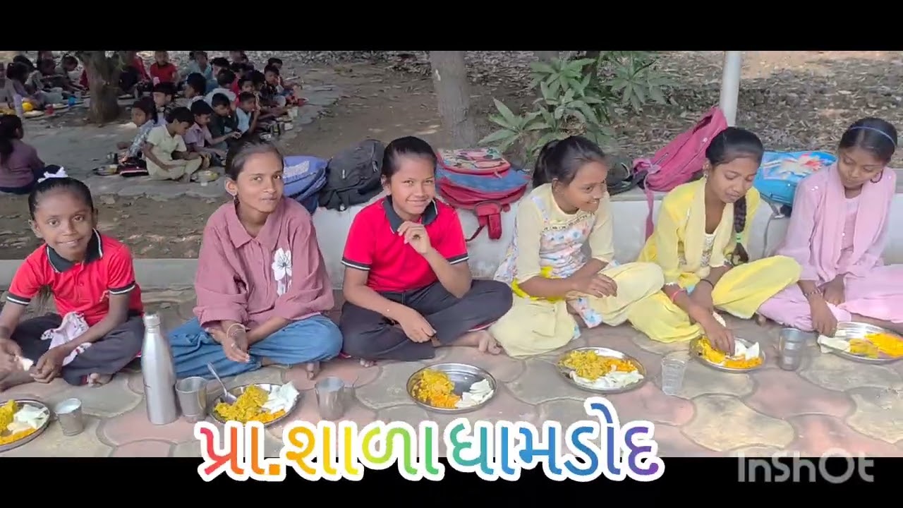 વન ભોજન ની મજા .. પ્રાથમિક શાળા ધામડોદ 