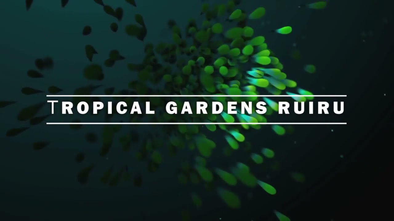 TROPICAL GARDENS-RUIRU 4k Aerial Drone Stock Footage NEW 2021