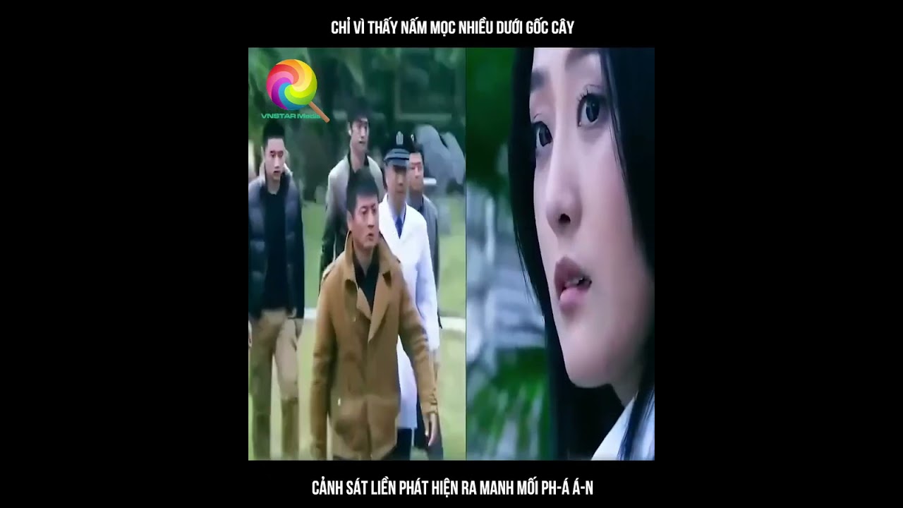Chỉ Vì Thấy Nấm Mộc Nhiều Dưới Gốc Cây, Cảnh Sát Liền Phát Hiện Ra Manh Mối Phá Án,