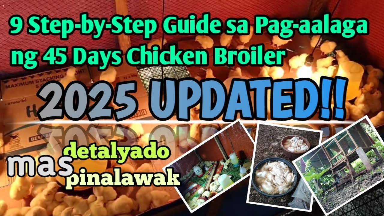 2025 UPDATED!! | 9 STEP-BY-STEP GUIDE SA PAG-AALAGA NG 45 DAYS CHICKEN BROILER