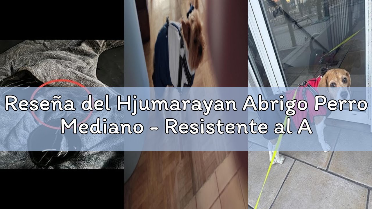Reseña del Hjumarayan Abrigo Perro Mediano - Resistente al Agua Chaqueta Caliente Abrigo Arnes Perro