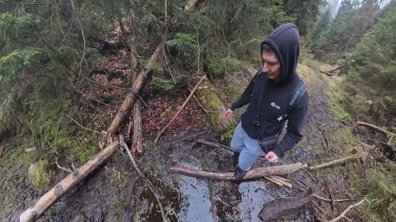 Udolím Křinice v Českém Švýcarsku