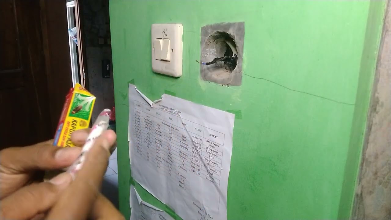 Cara Memperbaiki Stop Kontak yang Tiba-Tiba Rusak Karena Sarang Semut