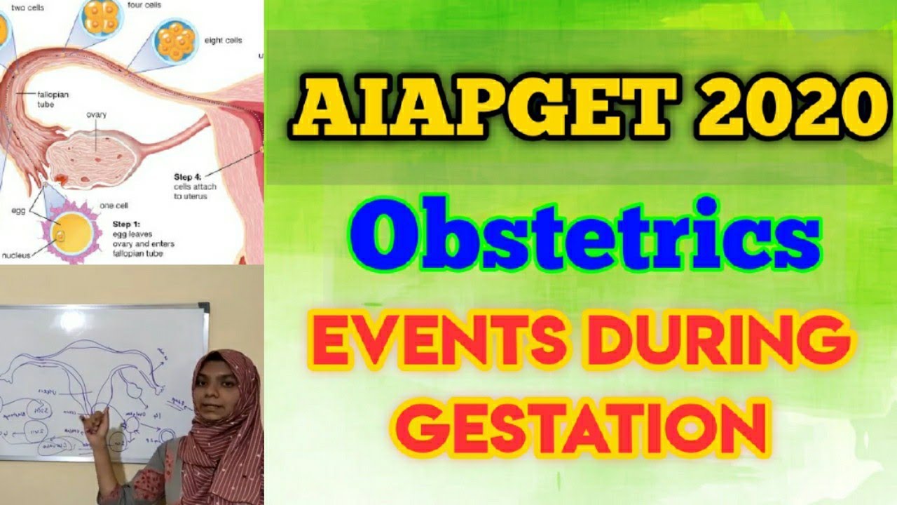 AIAPGET 2019 Question Paper Analysis | The Competitor | Video 3 | Obstetrics- Gestation |  Part 3