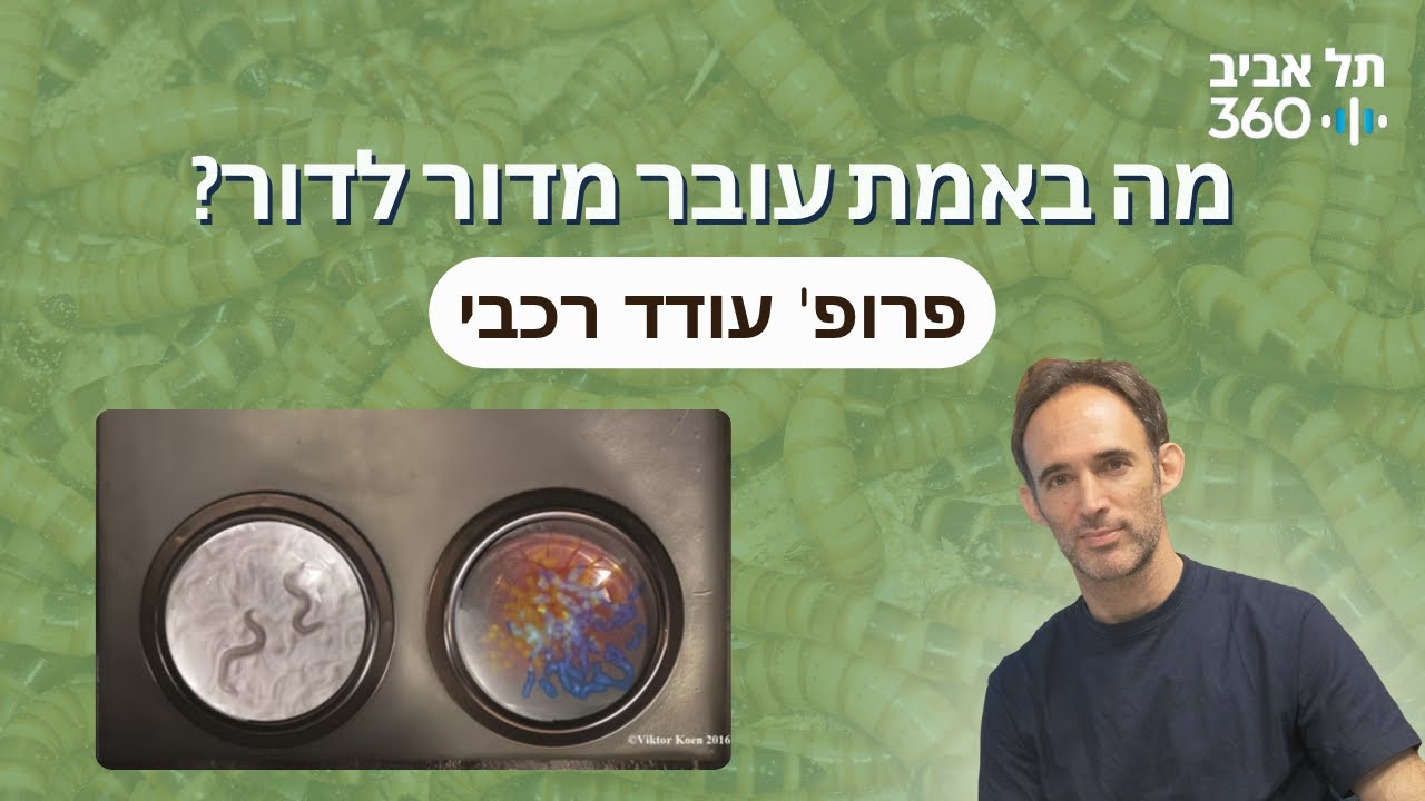 מה באמת עובר מדור לדור