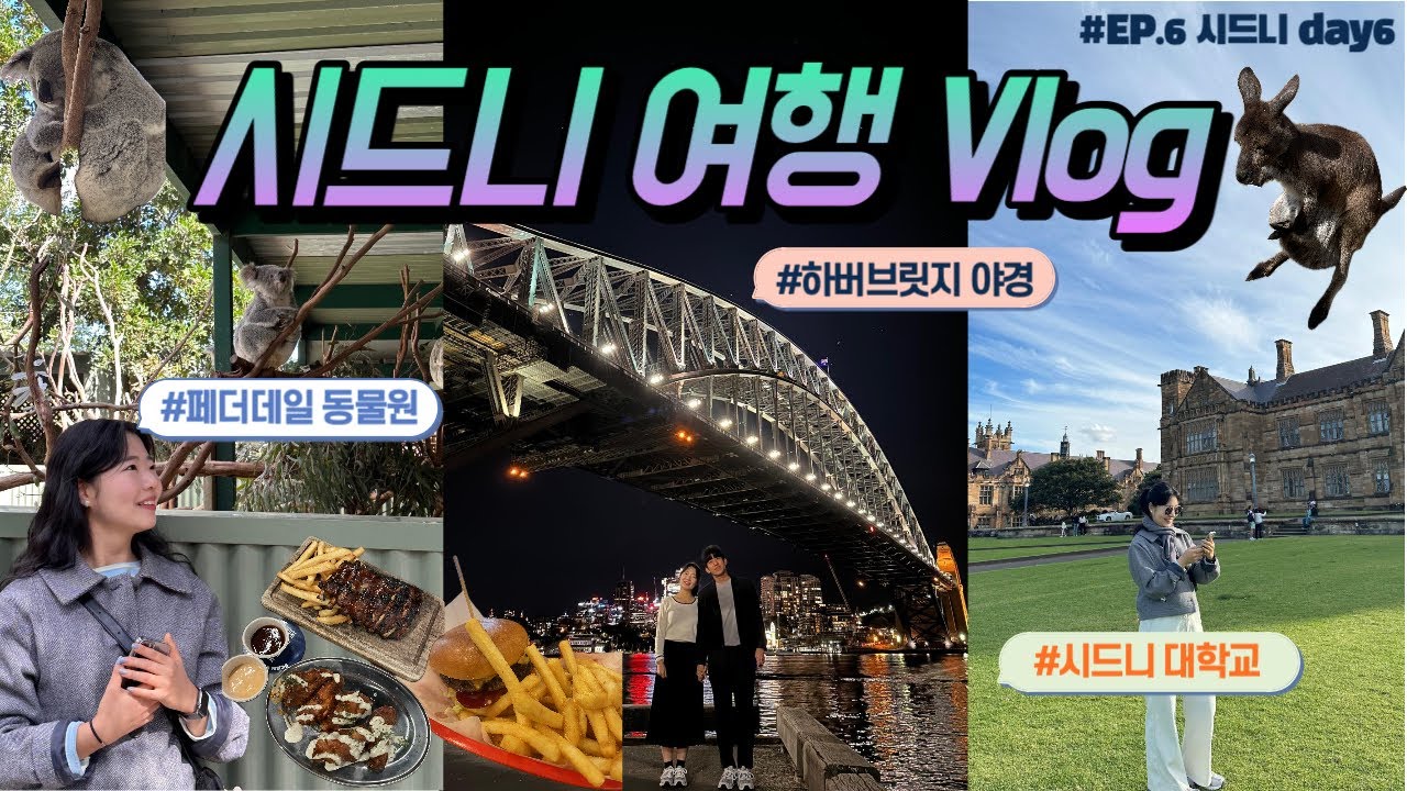 [🇦🇺 호주여행 EP.6] 시드니 Day.6ㅣ페더데일 동물원ㅣ코알라, 왈라비, 캥거루 원없이 보기🐨🦘ㅣ브로드웨이버거🍔ㅣ시드니 대학교 포토스팟ㅣ야경보며 립 먹방🍻ㅣ메시나 인생 젤라또