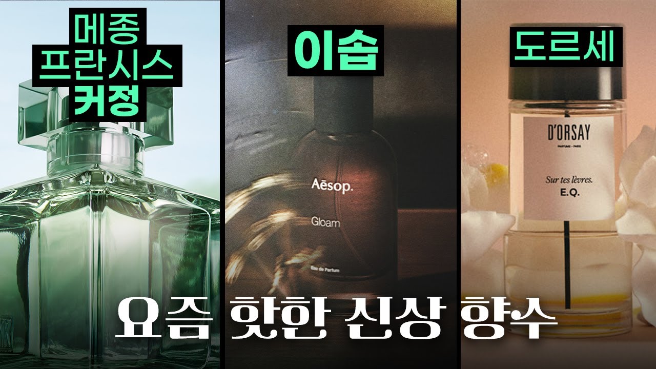 깔끔한 여름 향수부터 힙한 우드향까지! 신상 리뷰💚 (이솝 글롬/메종 프란시스 커정 아쿠아 미디어 코롱 포르테/도르세 이큐)