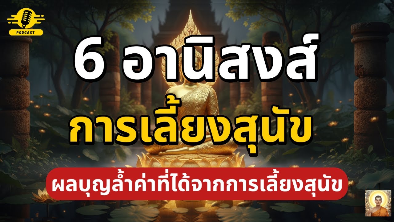 6 อานิสงส์จากการเลี้ยงสุนัข ผลบุญล้ำค่าที่ได้จากการเลี้ยงสุนัข | ชีวิตติดธรรม