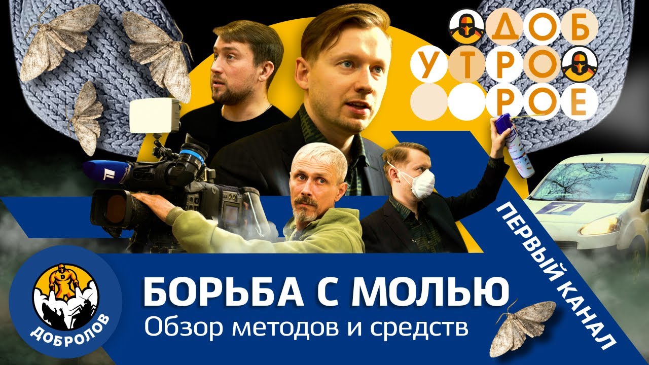 Пищевая и платяная моль. Борьба и профилактика