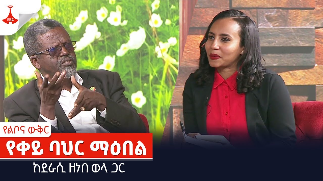 የልቦና ውቅር - የቀይ ባህር ማዕበል ከደራሲ ዘነበ ወላ ጋር Etv | Ethiopia | News
