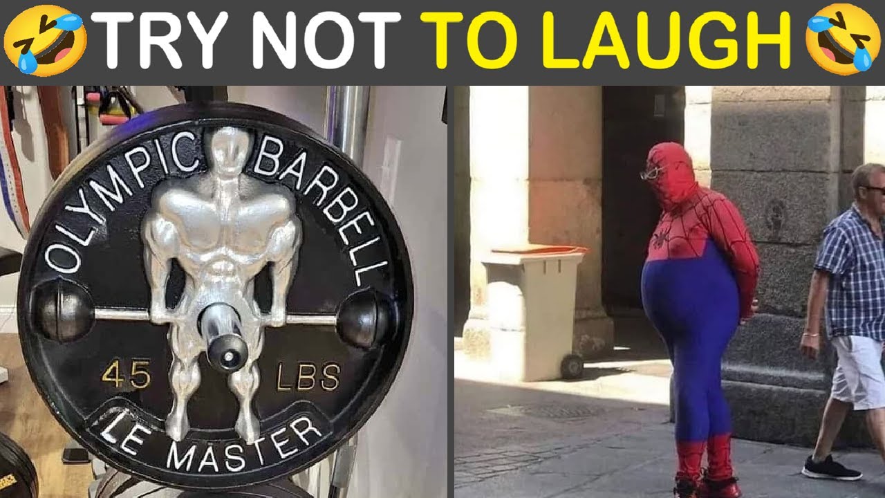 Funny Pictures Daily 😂 Try Not To Laugh | Humor Sweet